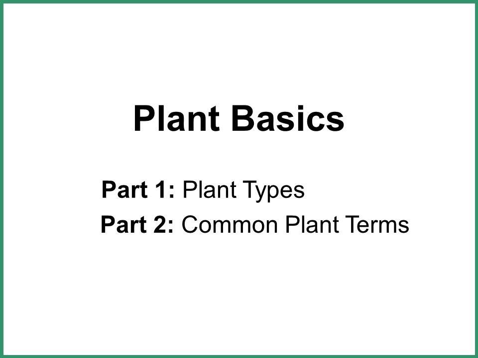 Plant Basics